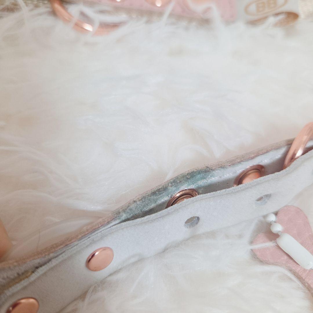 バディベルト ブラッシュ 2.5 BB リードセット BUDDY BELT
