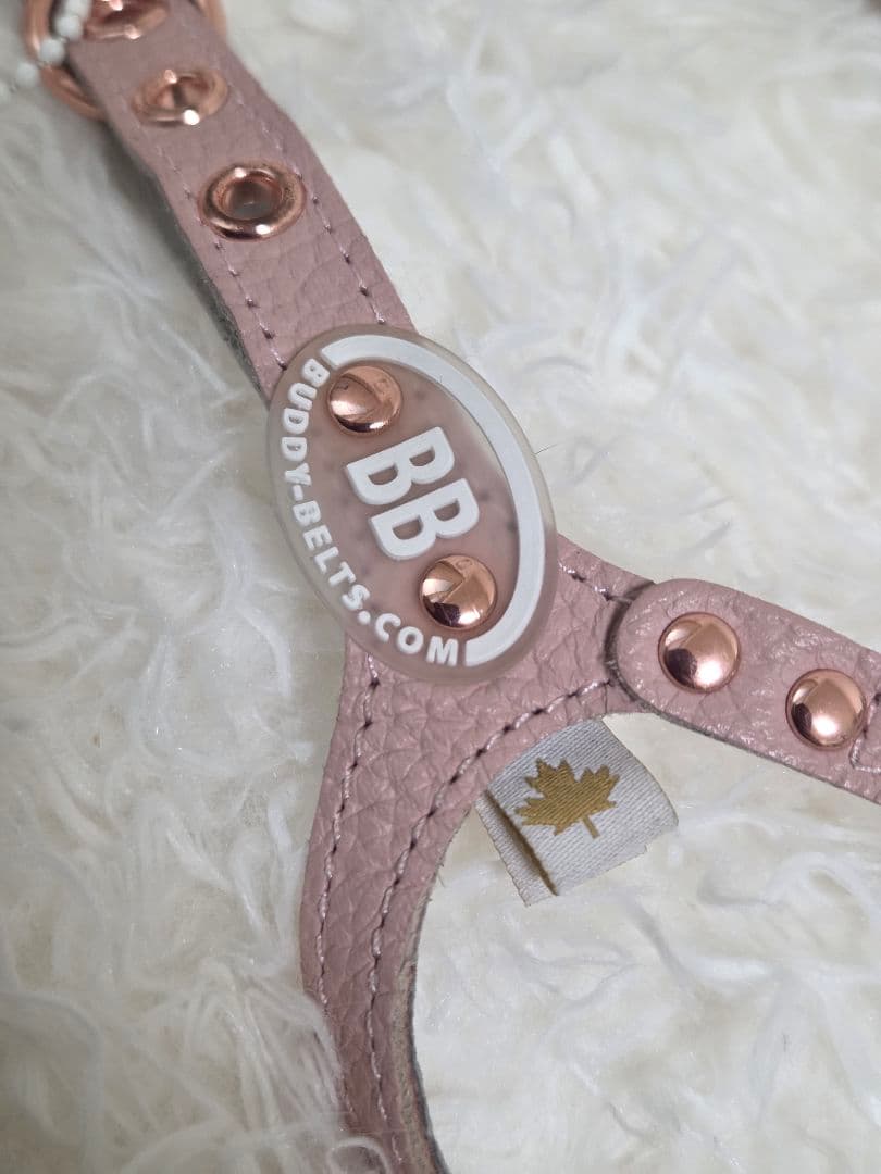 バディベルト ブラッシュ 2.5 BB リードセット BUDDY BELT