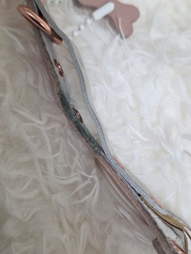 バディベルト ブラッシュ 2.5 BB リードセット BUDDY BELT