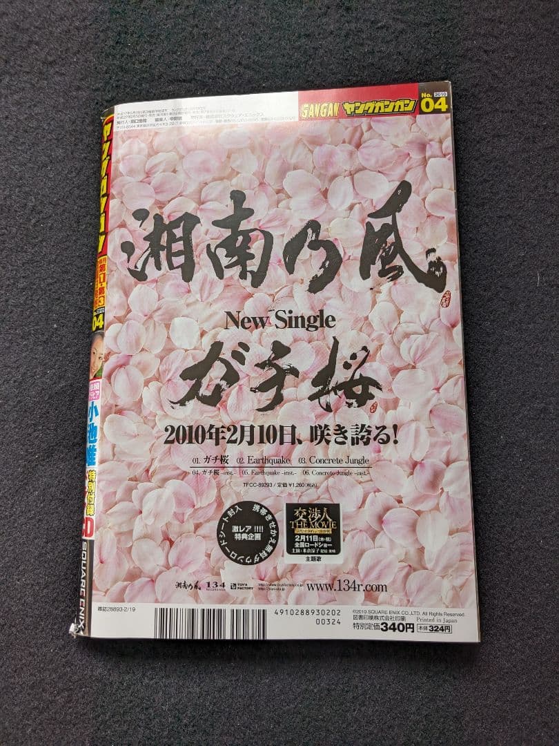 ヤングガンガン 小池唯　ポスター　杉ありさ　セキレイ　咲　黒神　ニコイチ