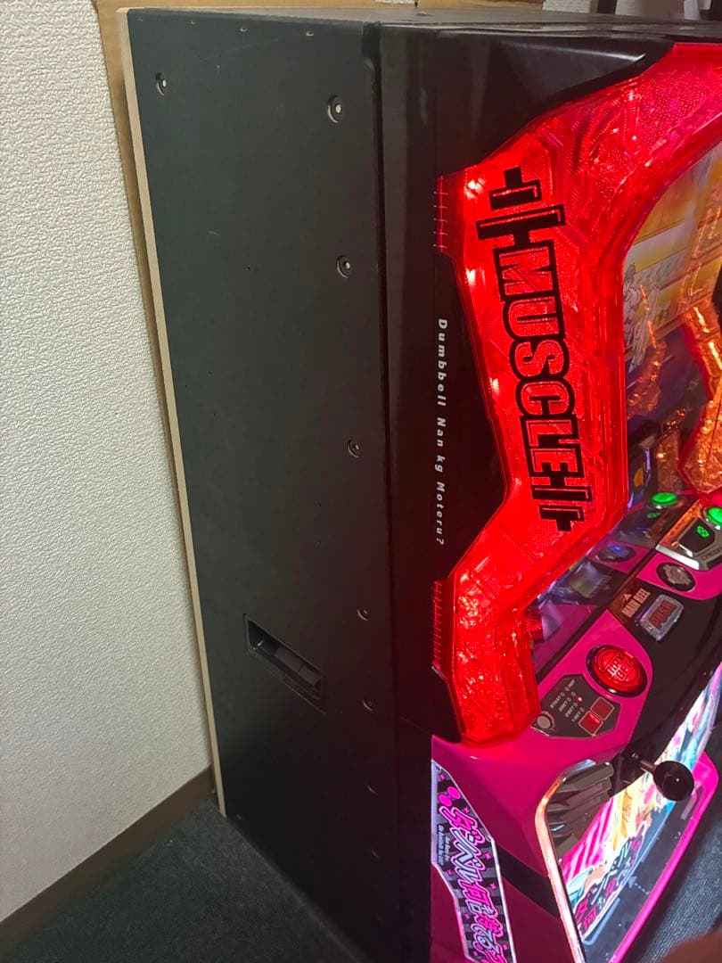 スマスロ　ダンベル何キロ持てる？