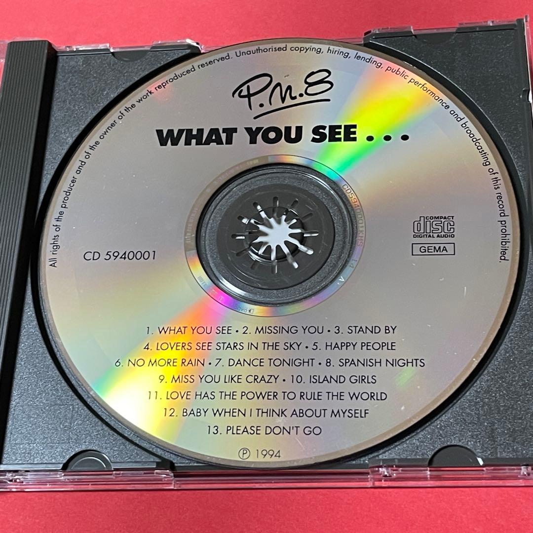 極希少/自主盤◆ドイツメロディアスAOR◆P.N.8/WHAT YOU SEE