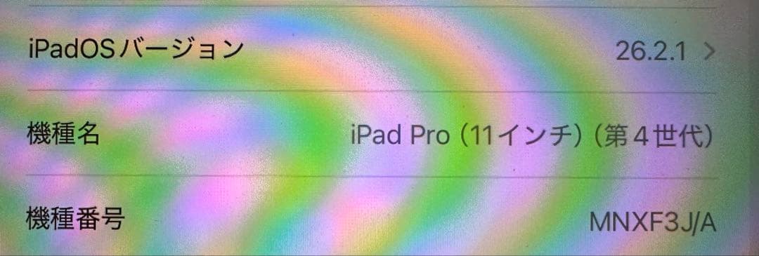Apple iPad Pro 11インチ (第4世代) 256GB Wi-Fi