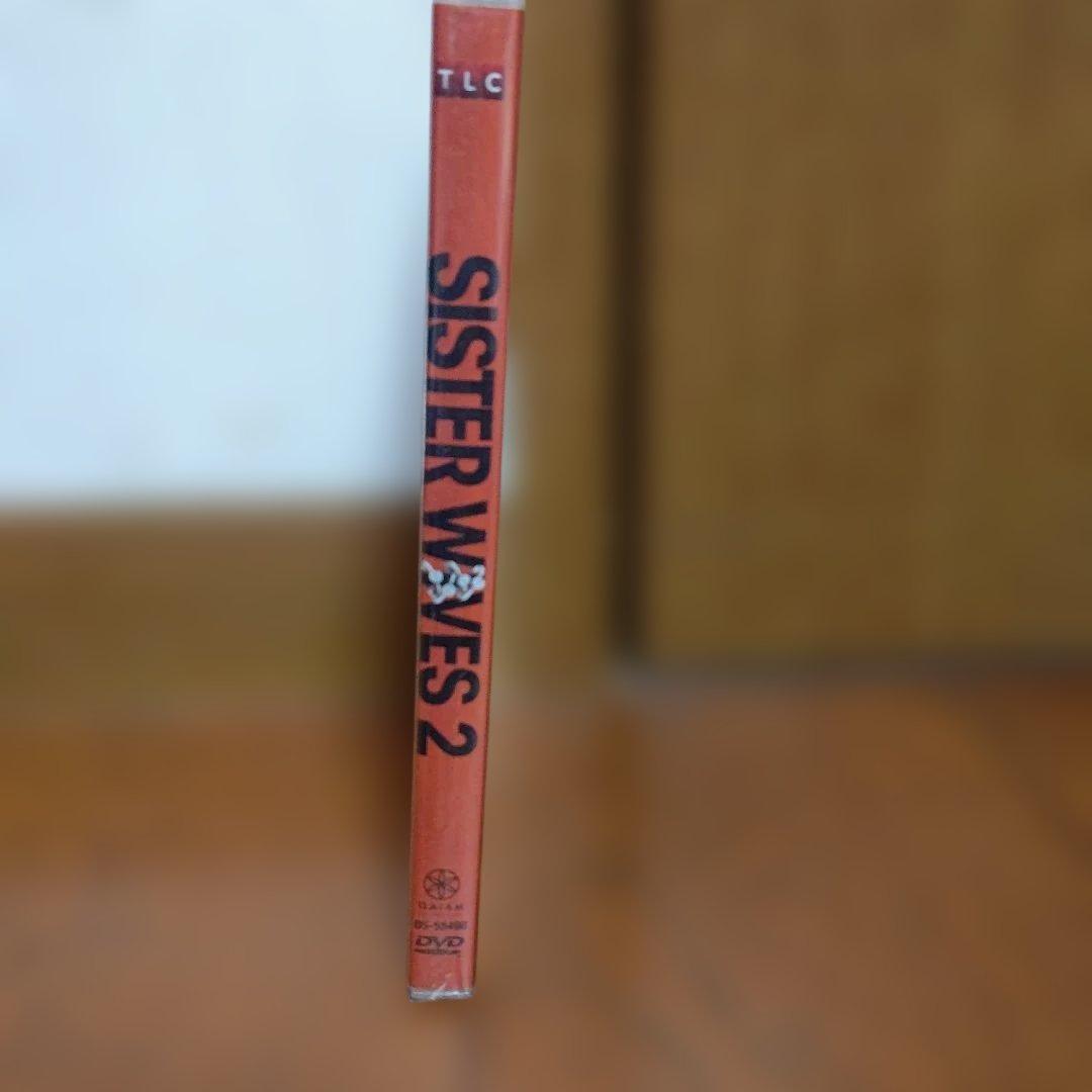 Sister Wives)』のシーズン2