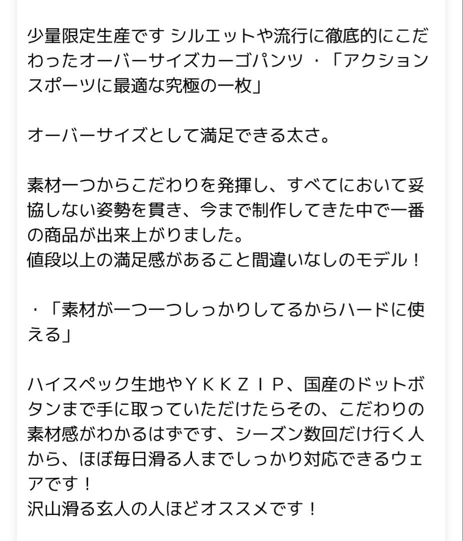 スノーボードウェア カーゴパンツ Lサイズ