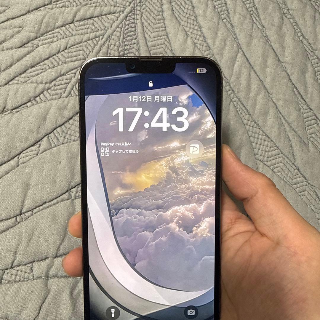 [最安値] Apple iPhone 13 Pro max 1TB