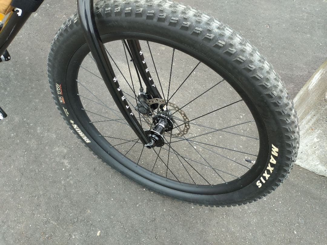 エリエールさま専用　サーリー SURLY ローサイド LOWSIDE サイズ∶M