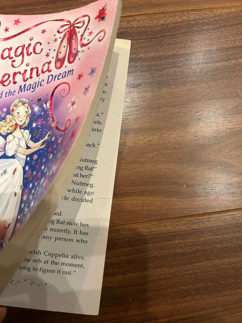 洋書セット　多読用33冊　チャプターブック
