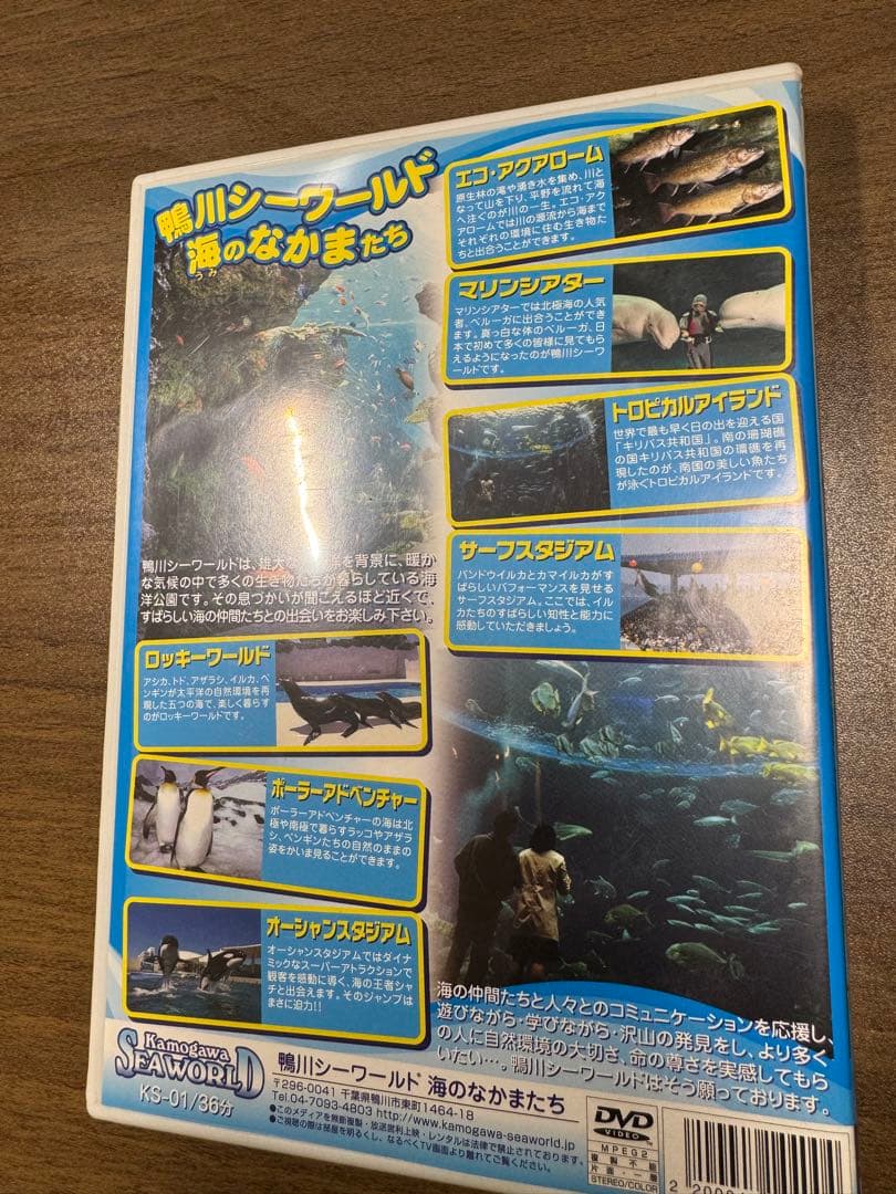 【数日限定販売】鴨川シーワールド 海のなかまたち DVD 限定映像 希少