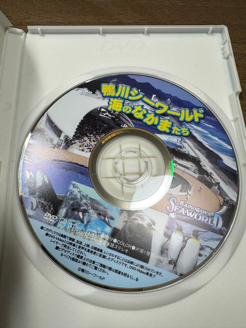 【数日限定販売】鴨川シーワールド 海のなかまたち DVD 限定映像 希少