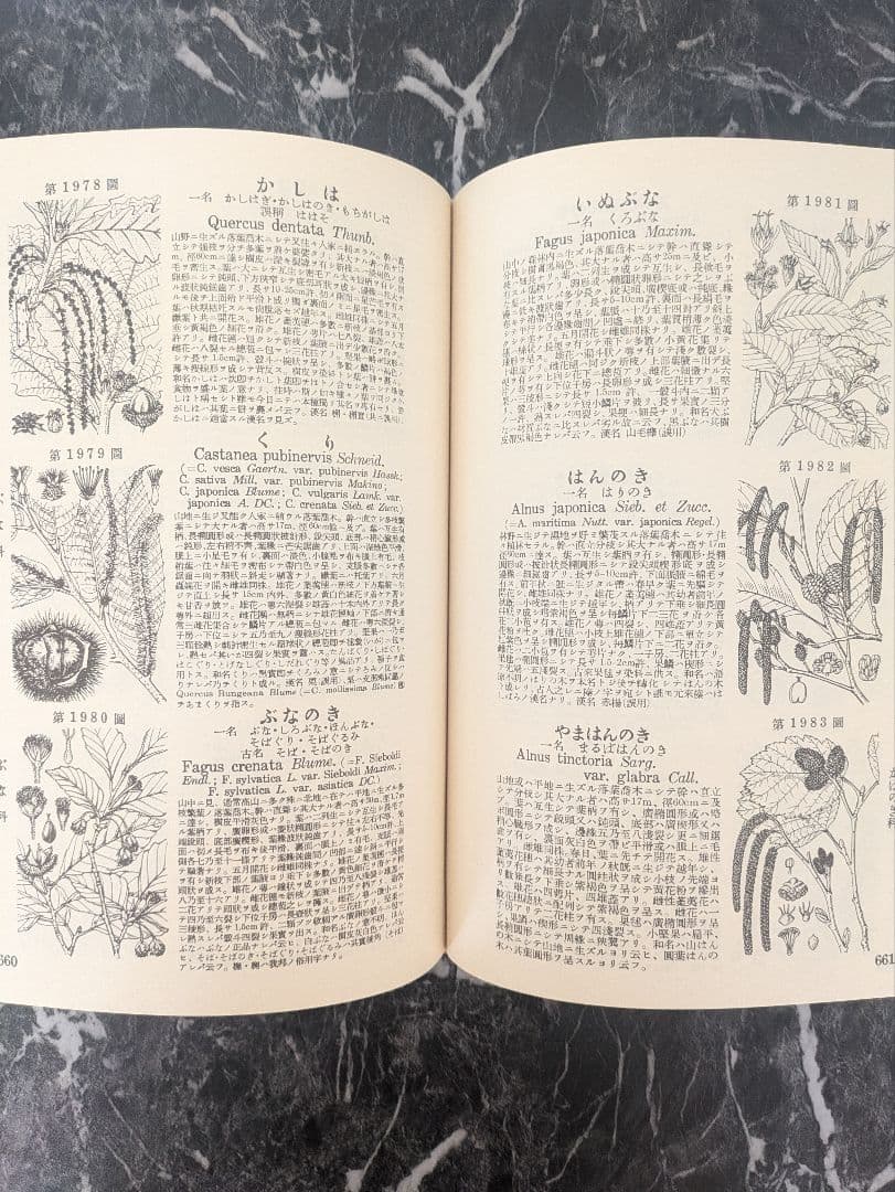 牧野日本植物図鑑　復刻版