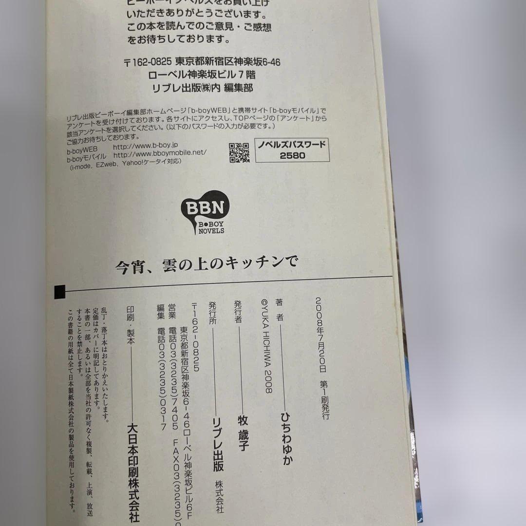 BL小説 ロマンス小説 23冊セット 夜光花 桐嶋リッカ はるの沙帆他