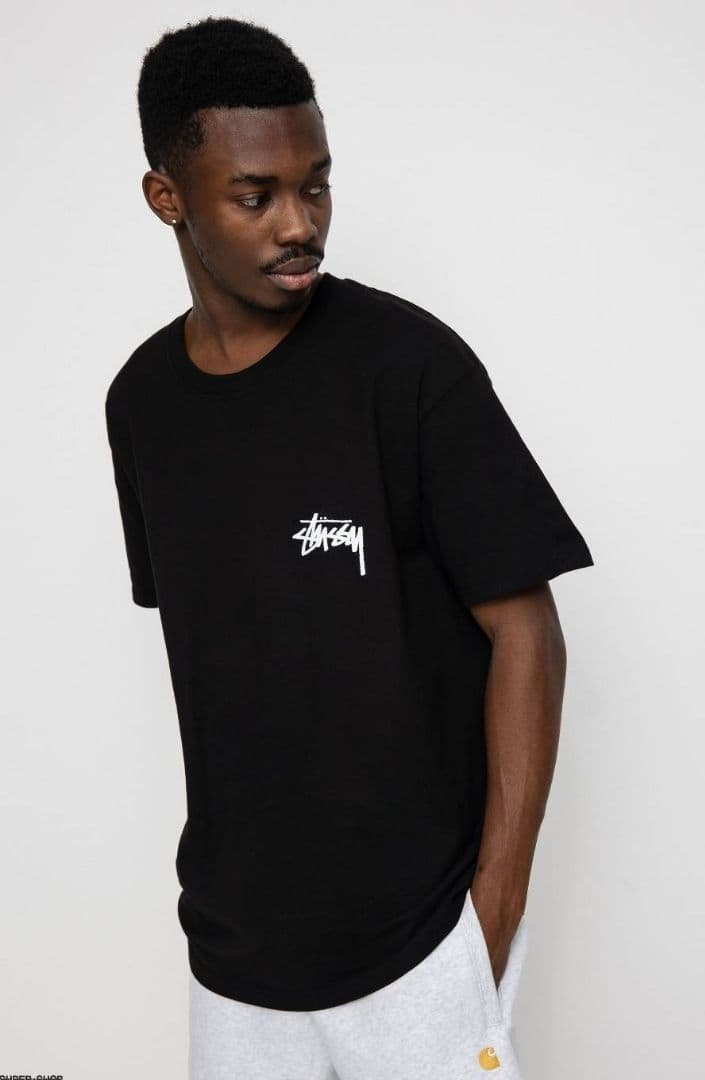 ステューシー FUZZY DICE 夏 STUSSY Tシャツ 黒 ダイス M
