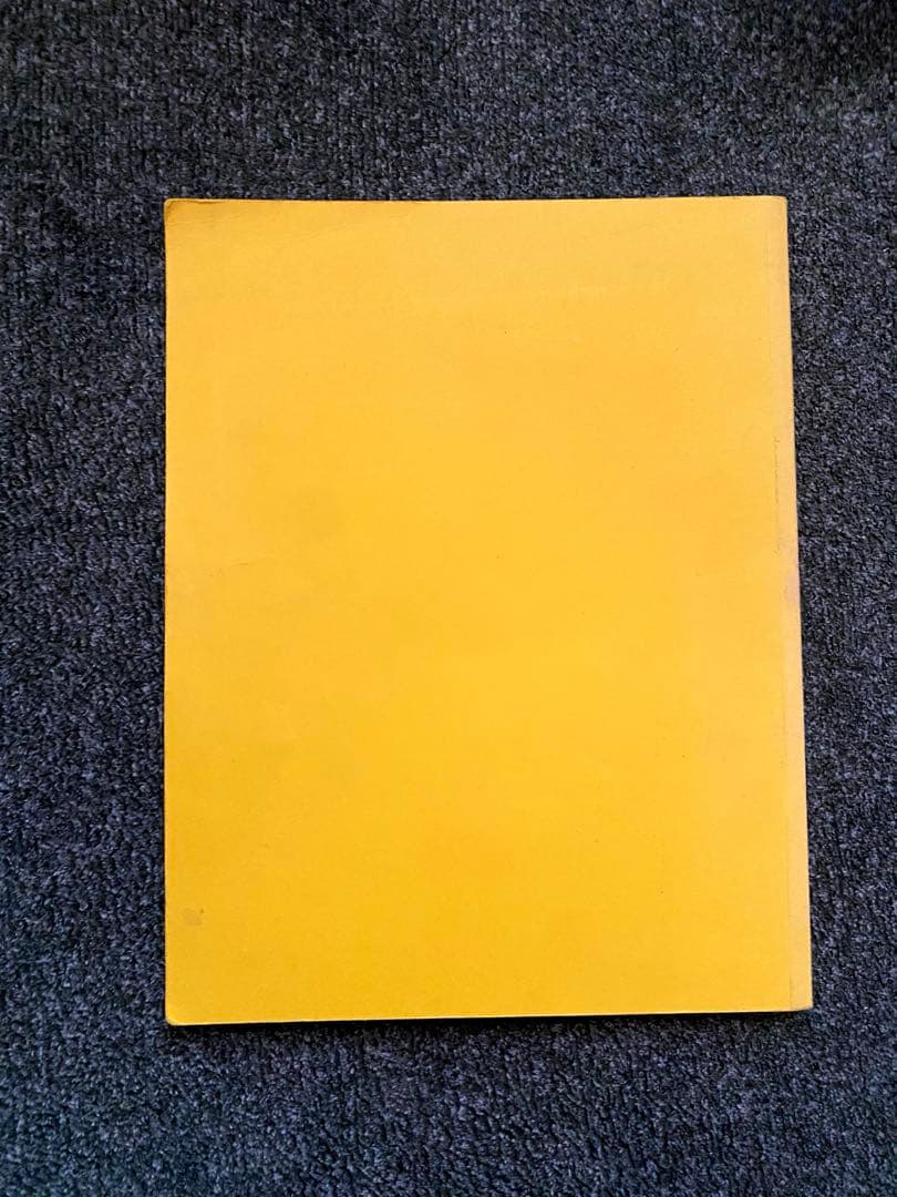 アート・デザイン・音楽 Donald Judd Complete Writings 1959-1975