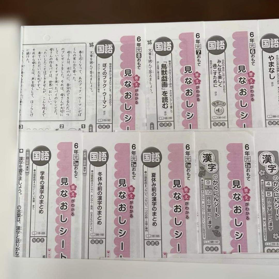【最新版】小学6年　国語　テスト　答え令和7年度　１年分
