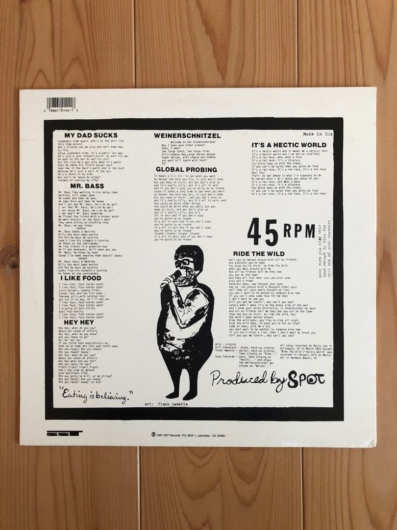 The Descendents/ ALL レコードセット