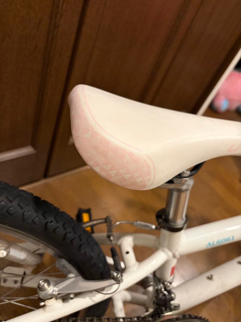 LOUIS GARNEAU ルイガノ 22インチ　18速（3×6）　鳥取市より