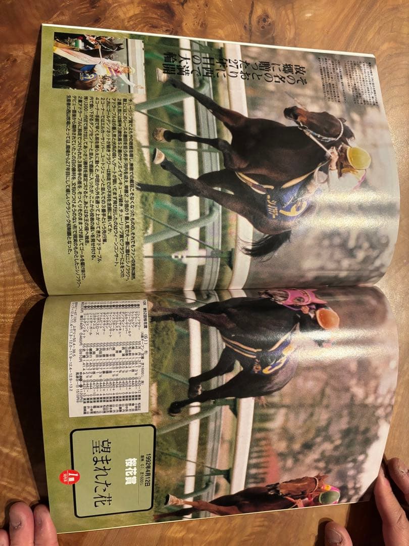 ギャロップGallop臨時増刊　 週刊100名馬 　 24 ニシノフラワー