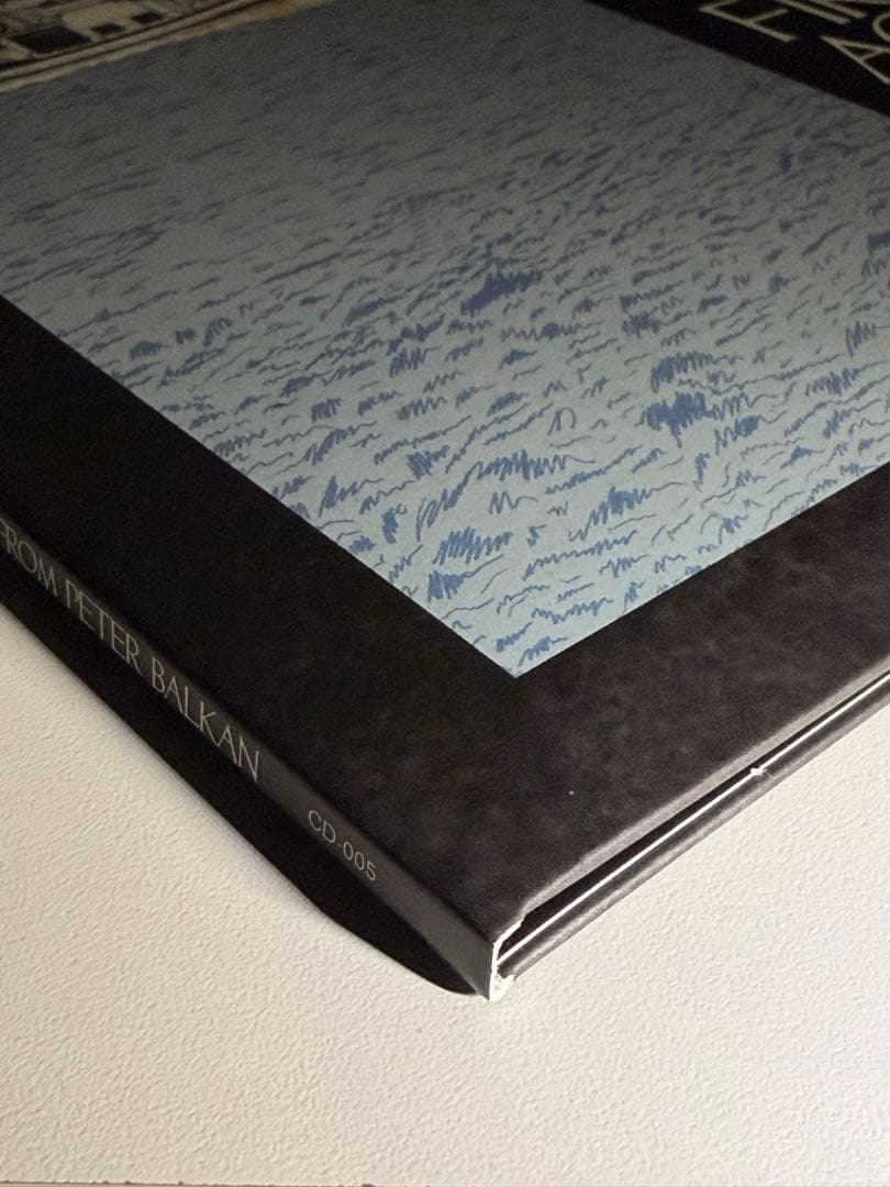 新品未使用 THE MOUNTAIN GOATS 直筆サイン LP