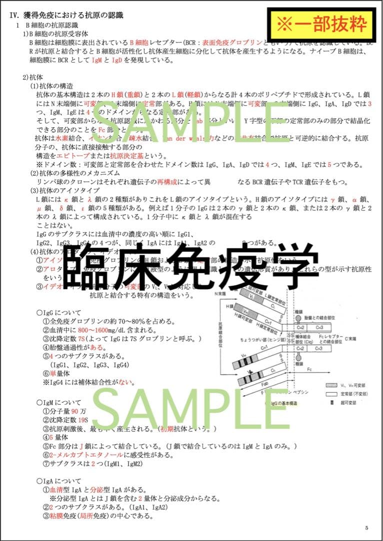 【ピーナッツ】臨床検査技師 国家試験 過去問 対策 まとめ ノート