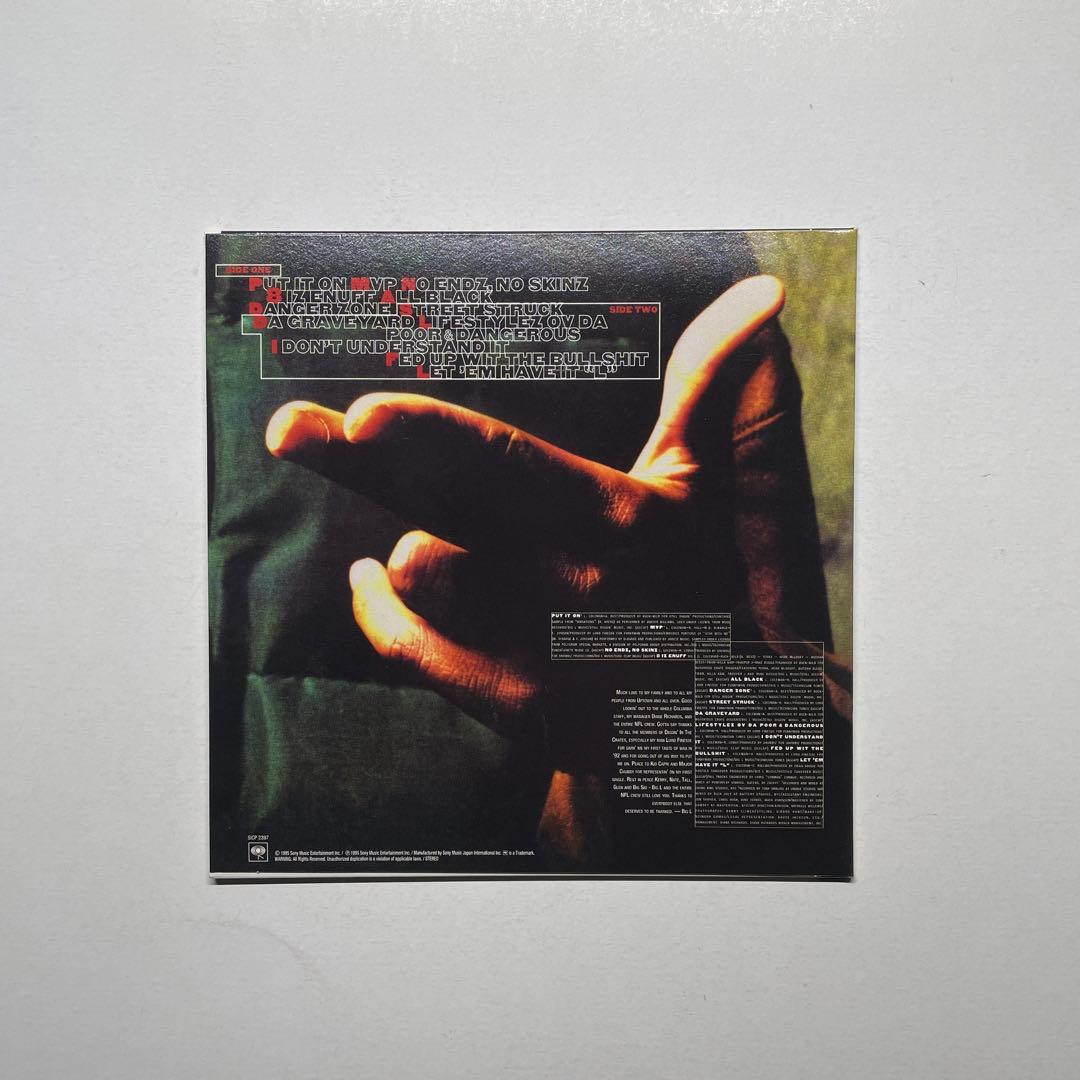 Big L / Lifestylez / CD 国内盤帯付 / Showbiz