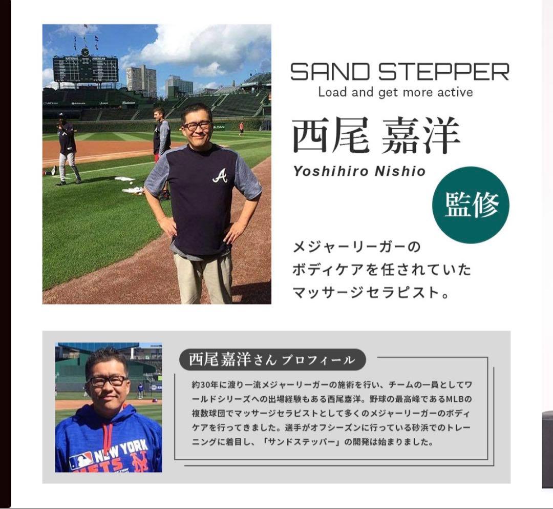 SAND STEPPER サンドステッパー グレー