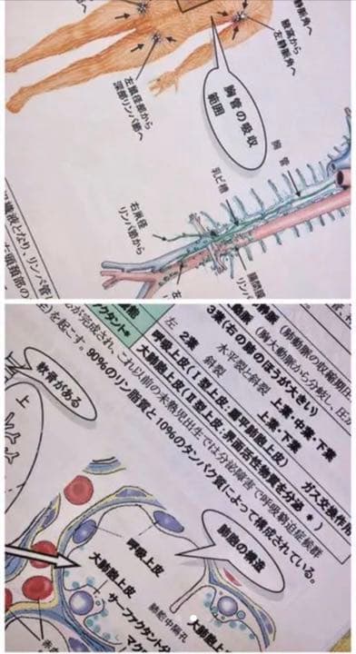 看護学生　学習資料集