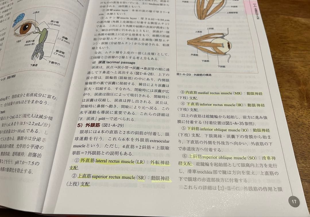 視能学第3版【Textbook of Orthoptics】