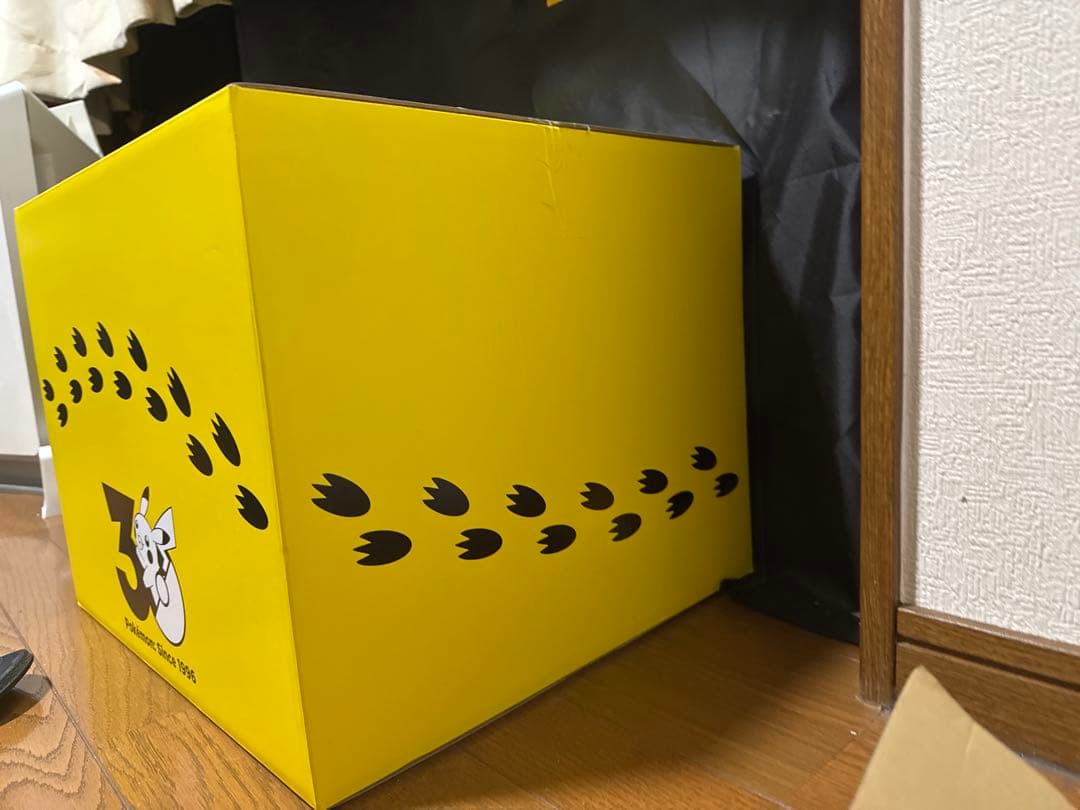 2点セット】ポケモン はじまりのピカチュウ＆おかえり！ピカチュウ ぬいぐるみ