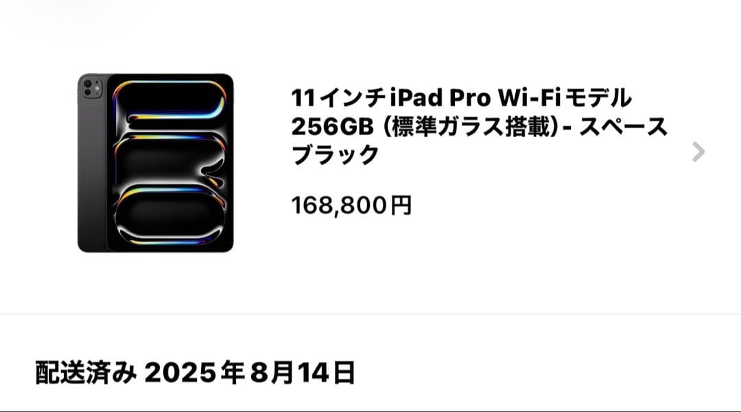 Apple iPad Pro (M4) 11インチ 256GB Wi-Fi