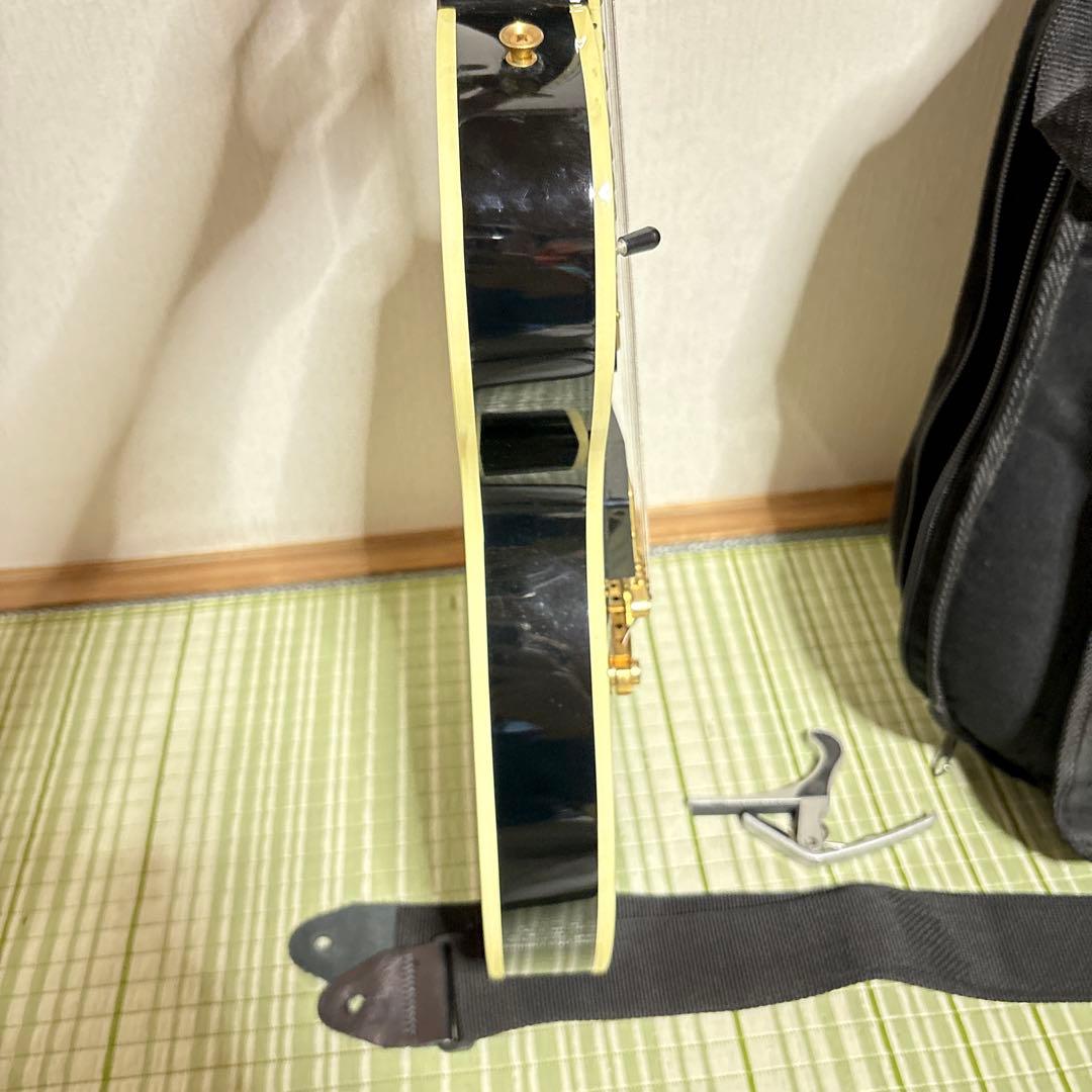 History レスポールタイプ エレキギター　ヒストリー　弦楽器　ソフトケース