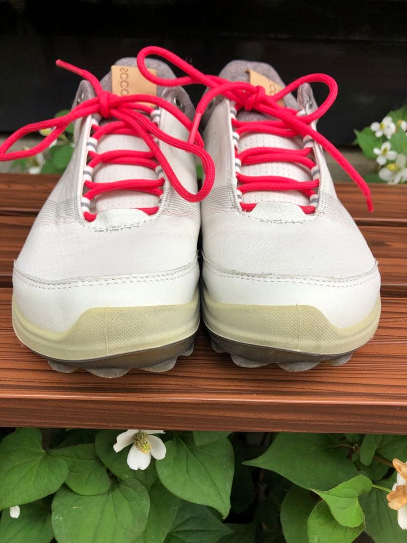 347番 美品ecco biom ゴルフシューズ38 24.0cmスパイクレス