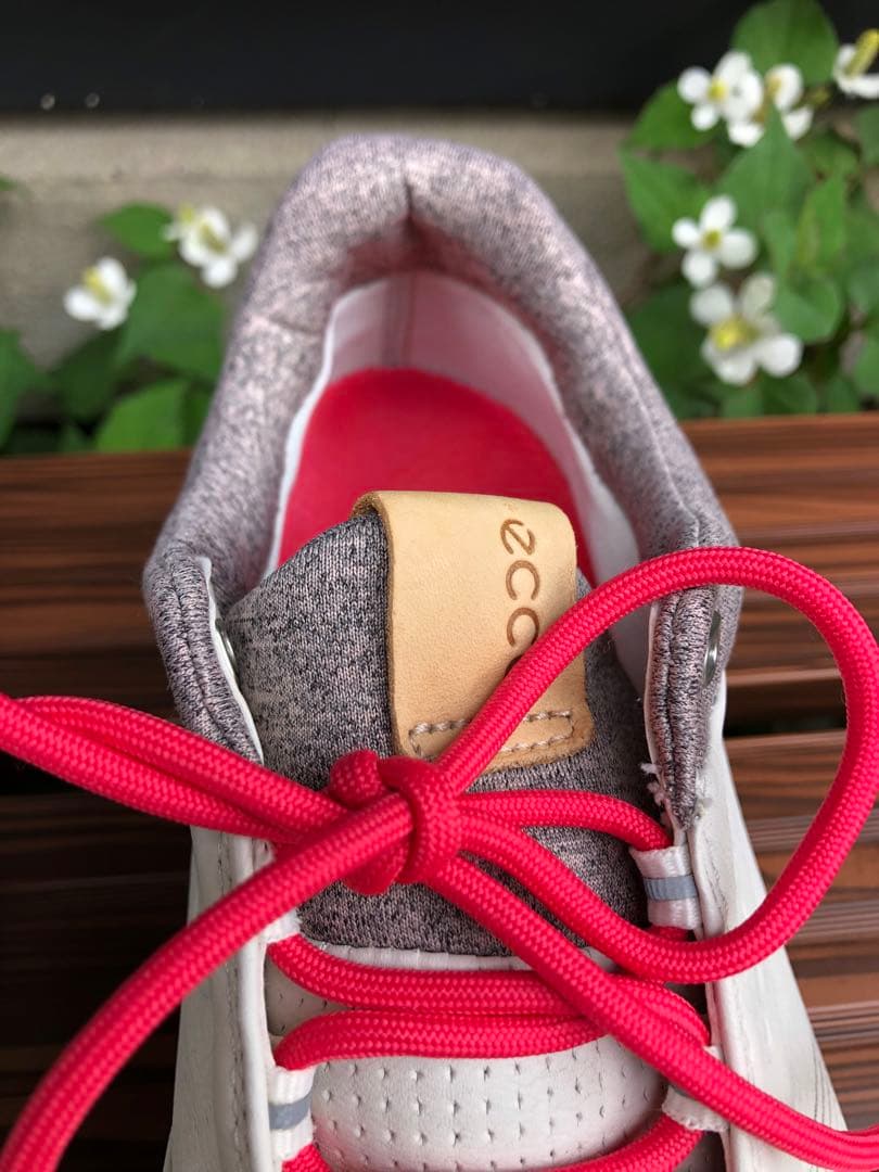 347番 美品ecco biom ゴルフシューズ38 24.0cmスパイクレス