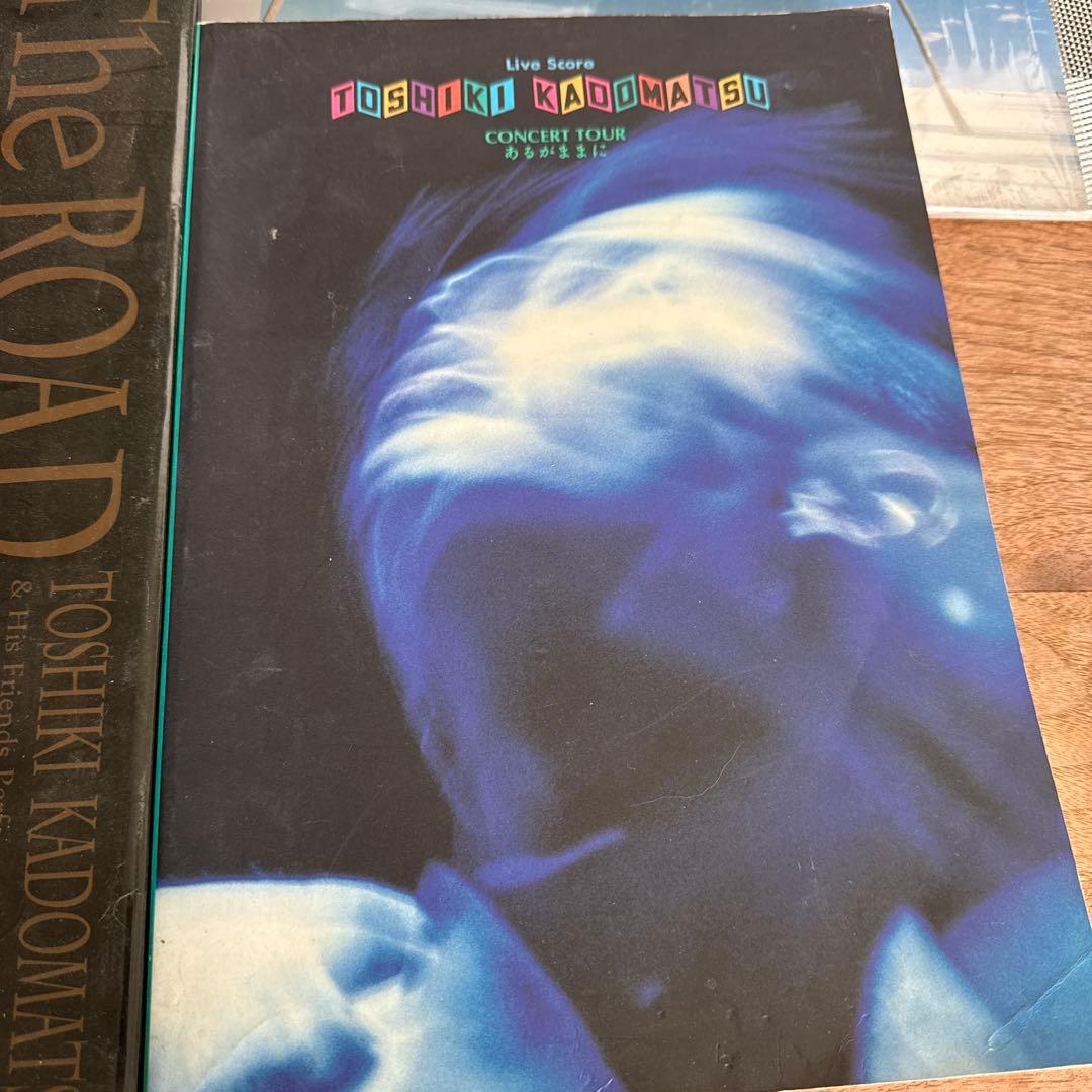 角松敏生コレクションCD.LP.EP.VHS17点セット