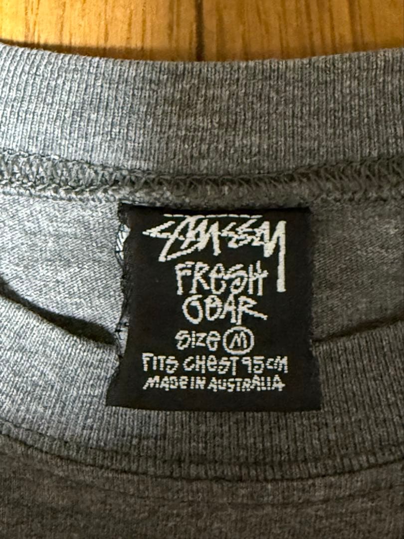90s STUSSY ステューシー　ラスタ　Tシャツ