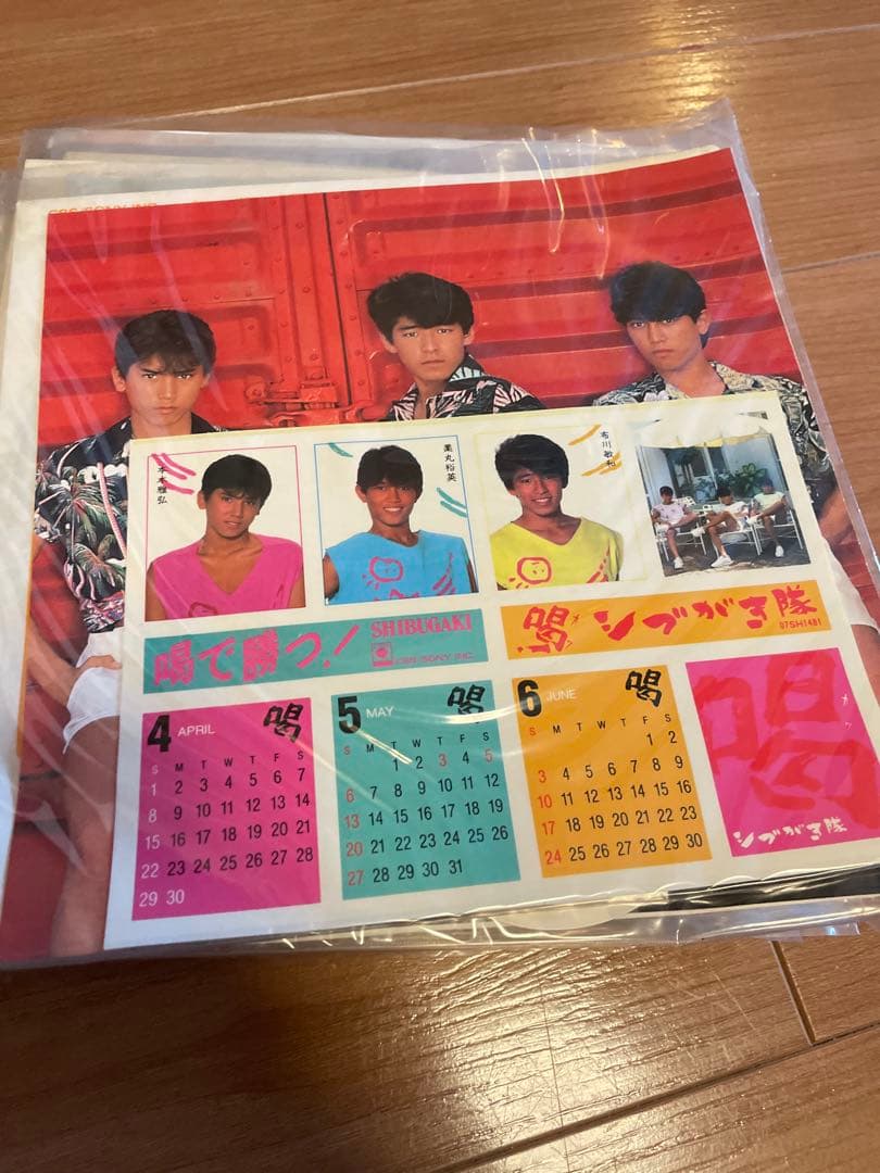 大量！！シブがき隊　SHIBUGAKITAI 1980年代　レコードまとめ売り