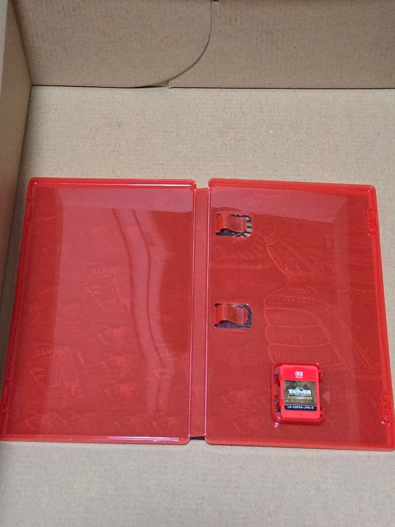 ゼルダの伝説 ティアーズ オブ ザ キングダム Switch 2 Edition