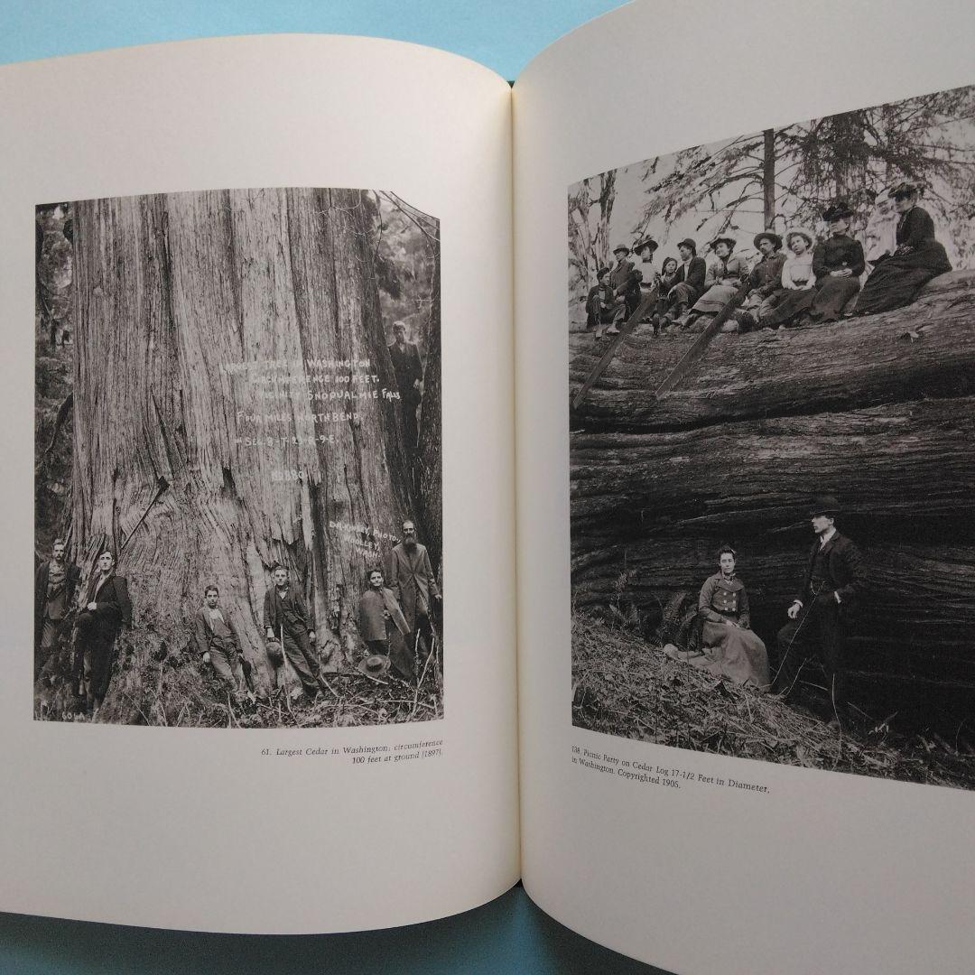 《大型本・英文》「キンゼイ写真集」Kinsey PHOTOGRAPHER