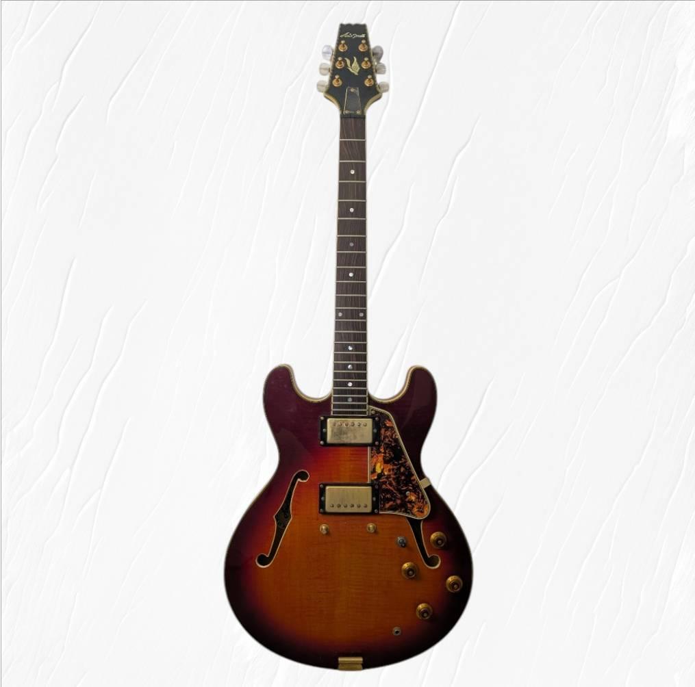 Aria Pro 2 アリアプロ2 TA-02 セミアコ エレキギター