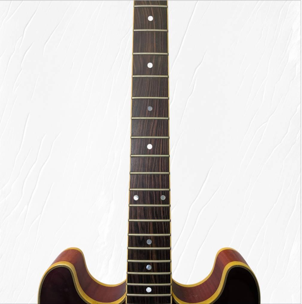 Aria Pro 2 アリアプロ2 TA-02 セミアコ エレキギター