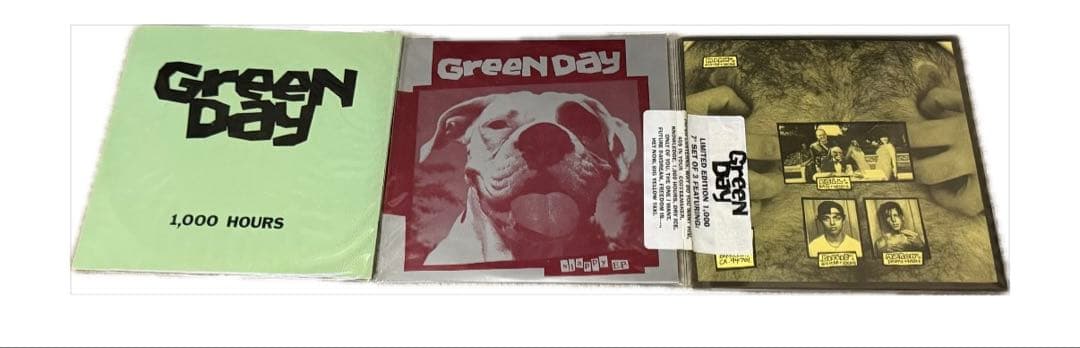 Green Day グリーンデイ 初期シングルコンパイルセット LTD1000