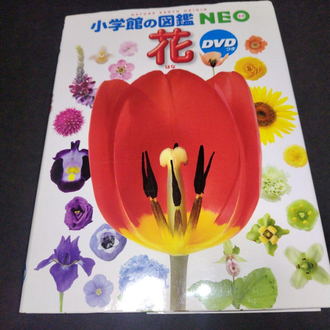 小学館の図鑑NEOシリーズ 学習図鑑 7冊セット