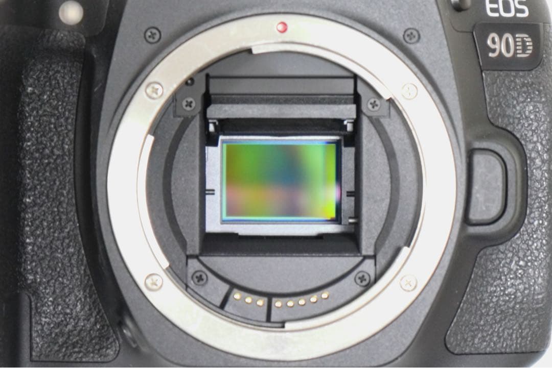 Canon EOS 90D ボディ