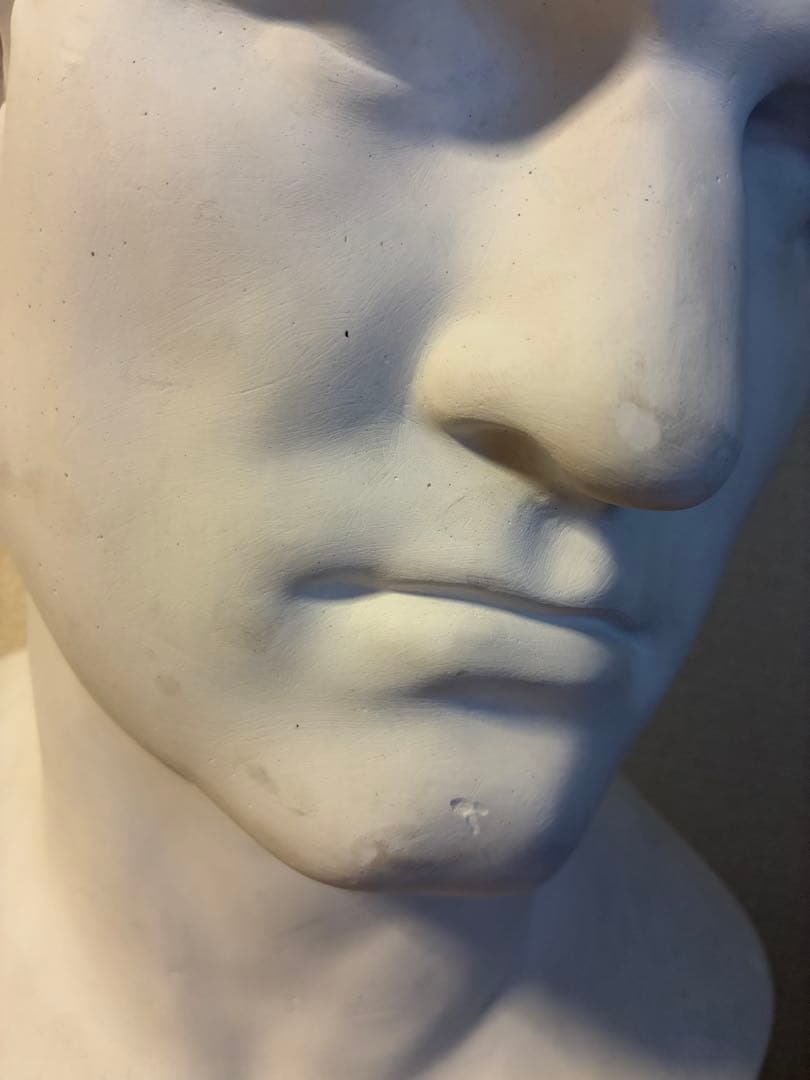 石膏像　アグリッパ　デッサン　美術　絵画　オブジェ　彫刻　アート　※割れ、穴有り