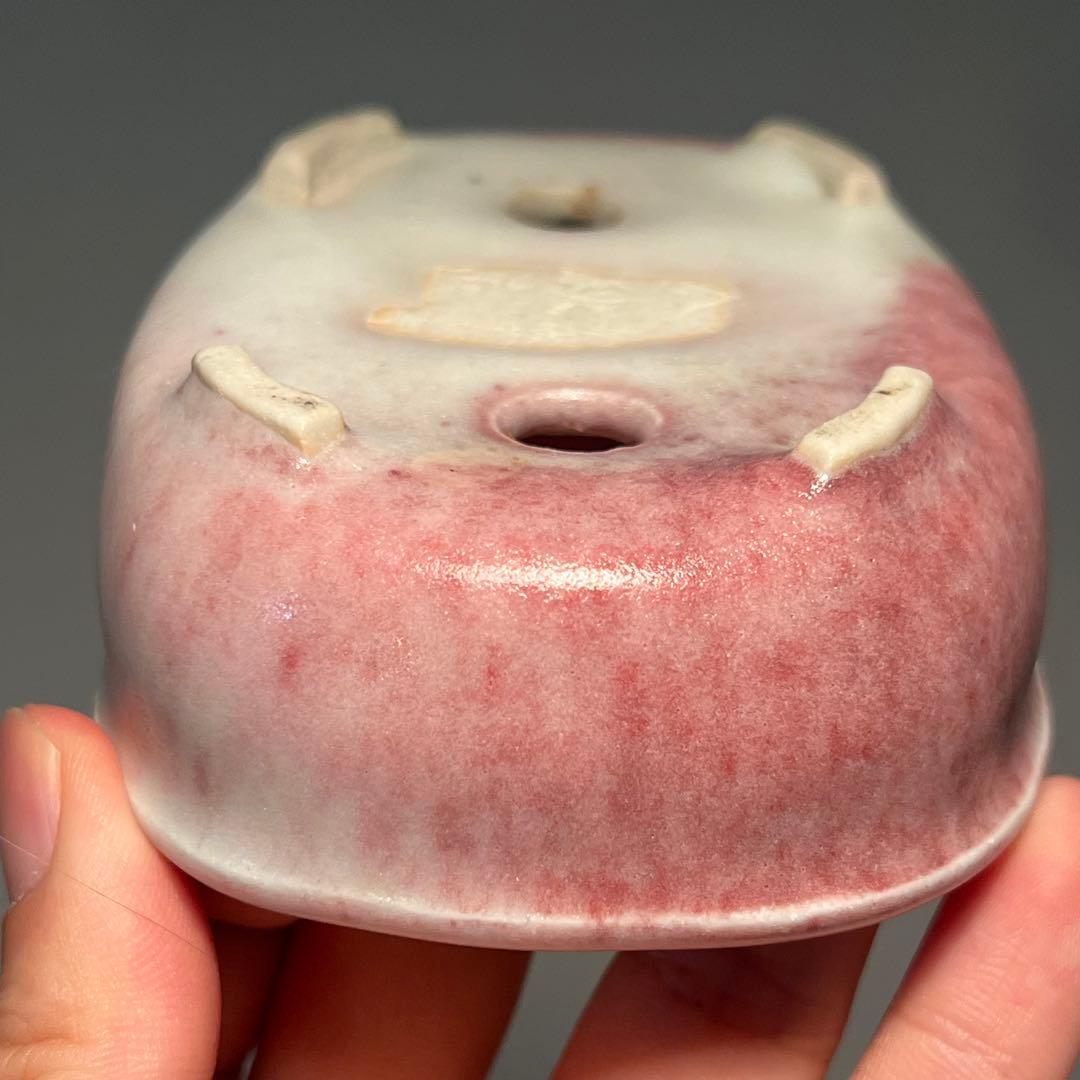 810.秋直 桃花釉楕円 平成十三年 盆栽鉢 植木鉢 11.1*8*3.6cm