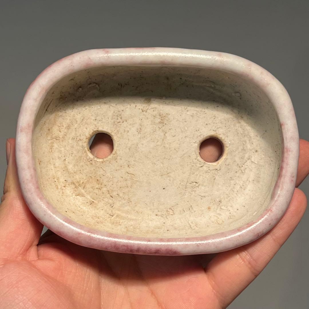 810.秋直 桃花釉楕円 平成十三年 盆栽鉢 植木鉢 11.1*8*3.6cm
