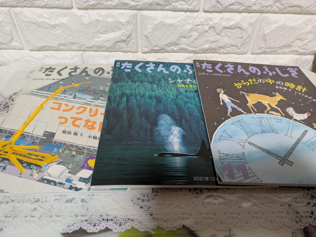 たくさんのふしぎ 福音館書店 12冊セット まとめ売り