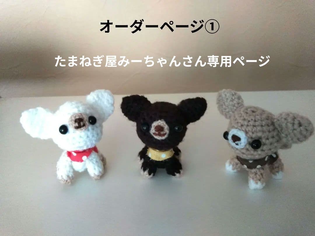 オーダーページ①たまねぎ屋みーちゃんさん専用ページ