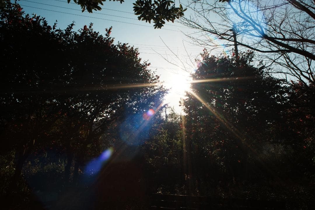 希少【整備＆テスト済】Canon New FD 24mm F2 238