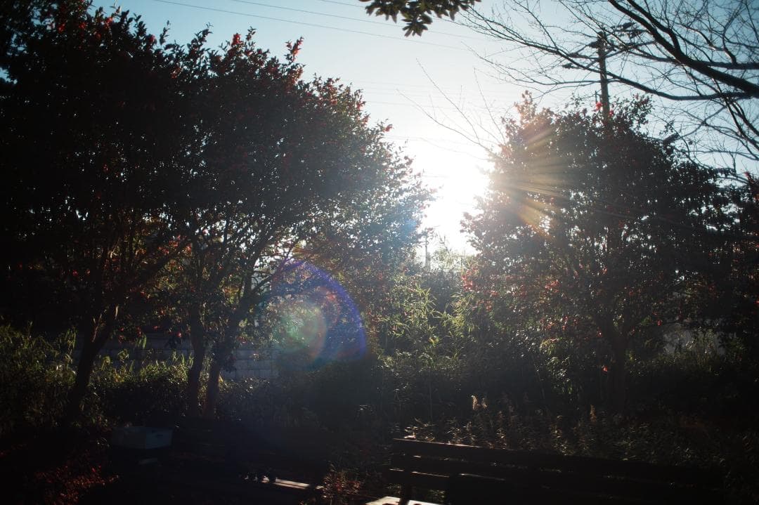 希少【整備＆テスト済】Canon New FD 24mm F2 238